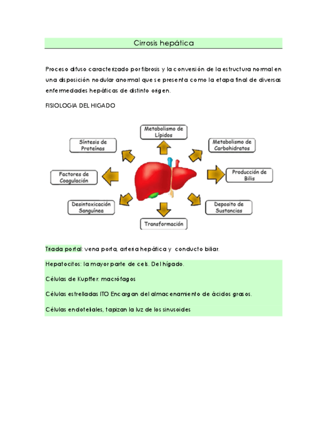 Miniatura del documento Cirrosis-hepatica-fisiopatologia-JMRB.pdf