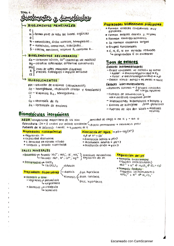 Miniatura del documento Temas-1-7-Bioquimica.pdf
