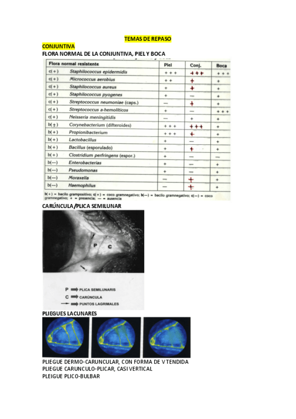 Miniatura del documento TEMAS-DE-REPASO.pdf