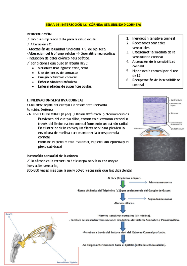 Miniatura del documento TEMA-16.pdf