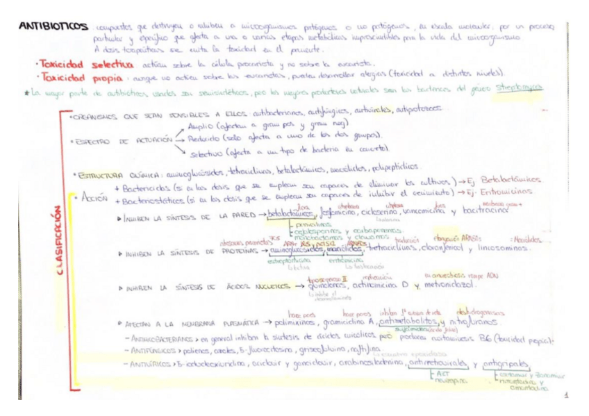 Miniatura del documento Esquema-Antibioticos-y-resistencia.pdf