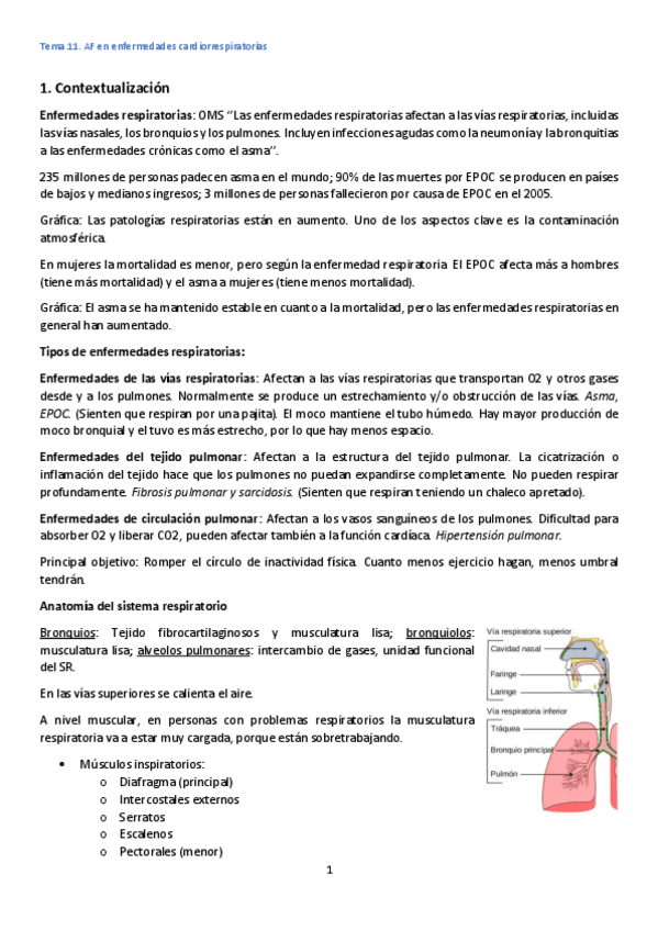 Miniatura del documento Tema-11.pdf