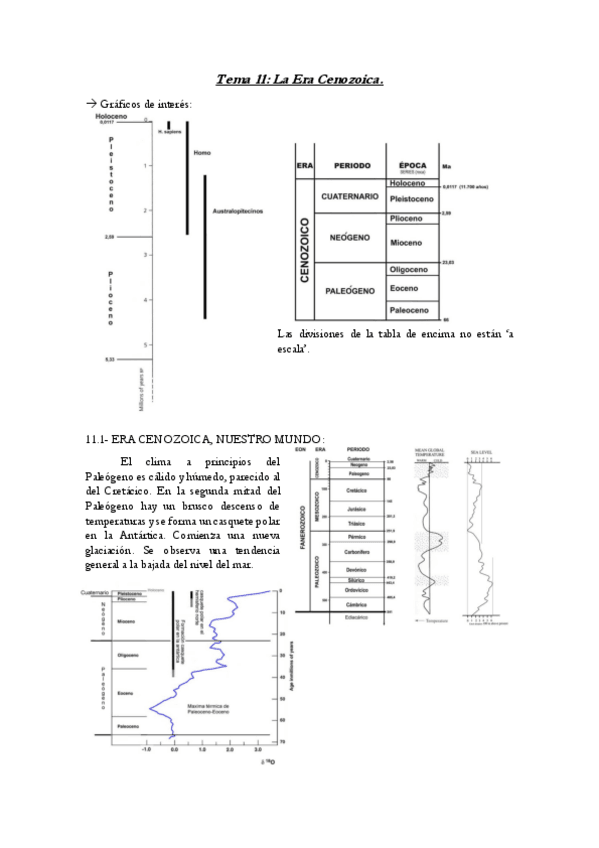 Miniatura del documento Tema-11-Geologia.pdf