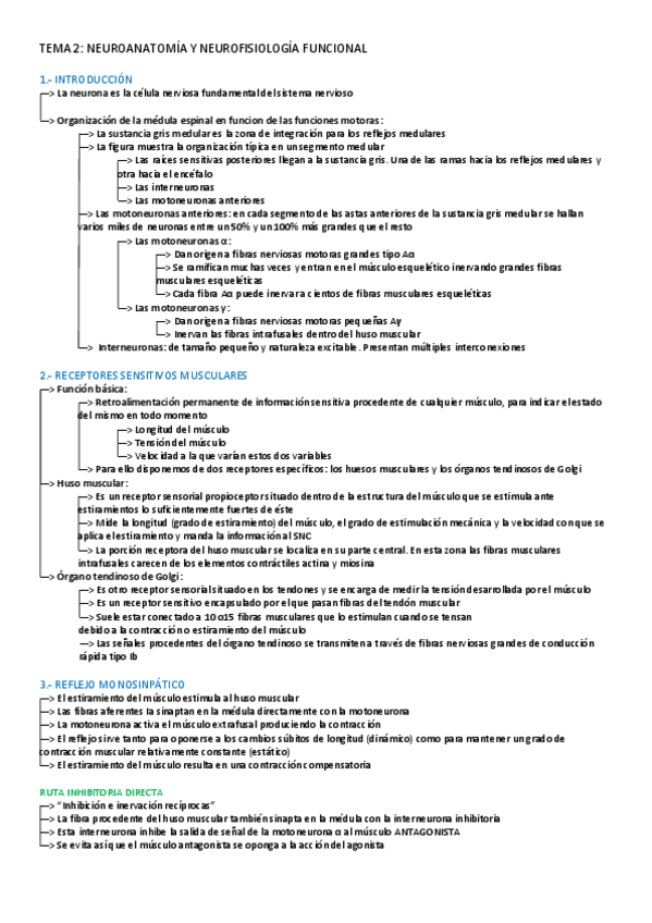 Miniatura del documento TEMA-2-NERVIOSO.pdf