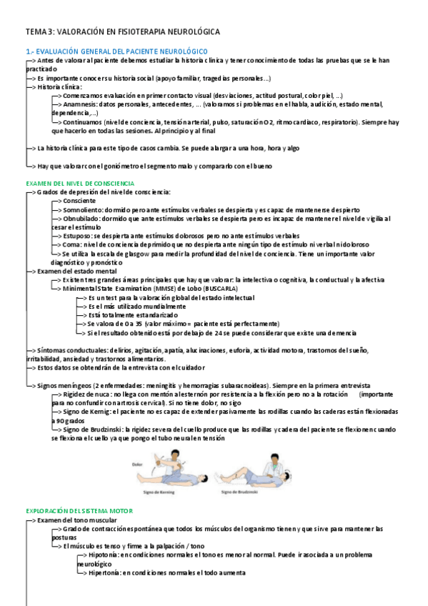 Miniatura del documento TEMA-3-NERVIOSO.pdf