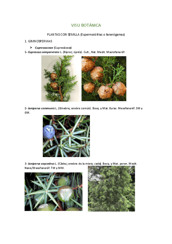 Miniatura del documento VISU-BOTANICA.pdf