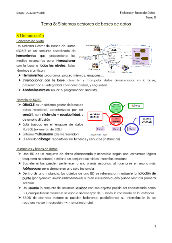 Miniatura del documento Tema-8-Sistemas-Gestores-de-Bases-de-Datos.pdf