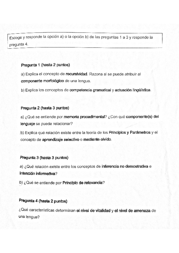Miniatura del documento final-linguistica-.pdf