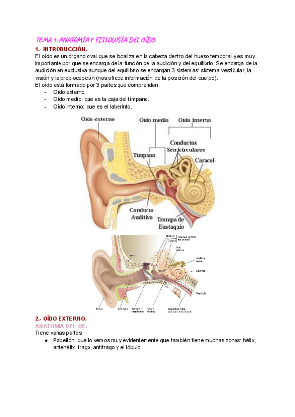 Miniatura del documento TEMA-1-ANATOMIA-Y-FISIOLOGIA-DEL-OIDO.pdf