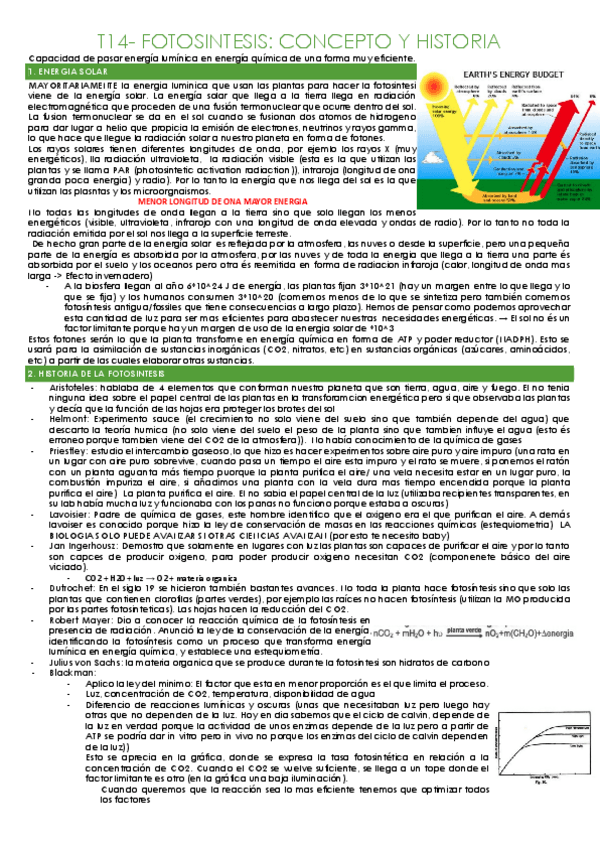 Miniatura del documento T14-FOTOSINTESIS.pdf