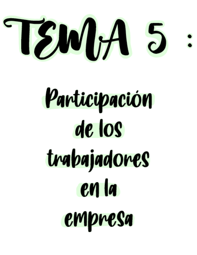 Miniatura del documento Tema-5-Participacion-de-los-trabajadores.pdf