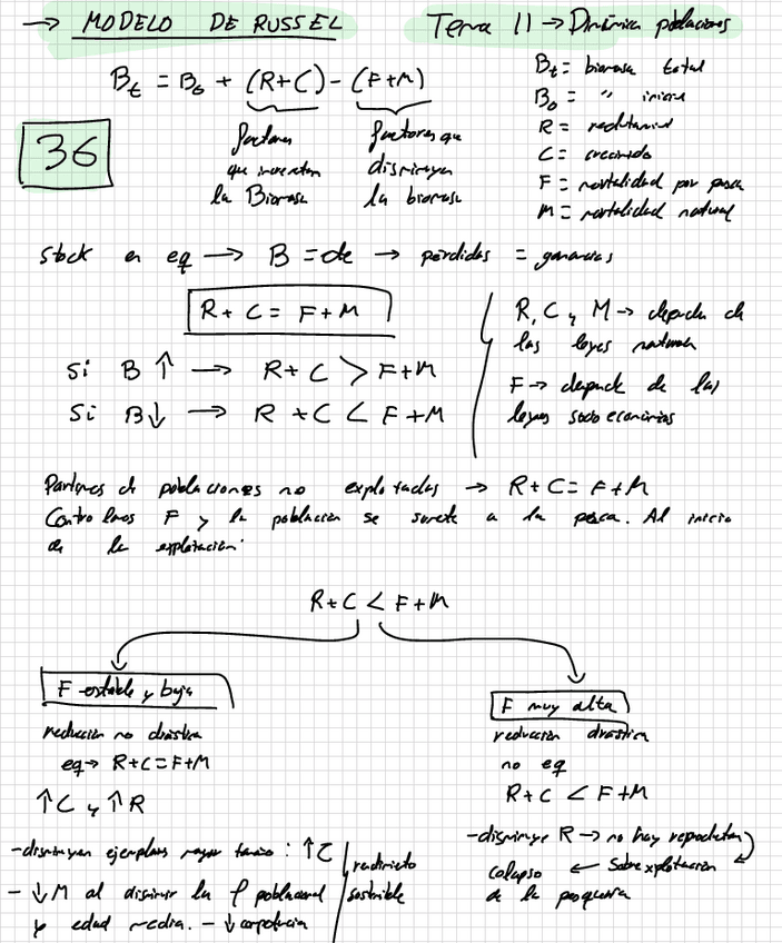 Miniatura del documento Modelo-de-Russel.pdf