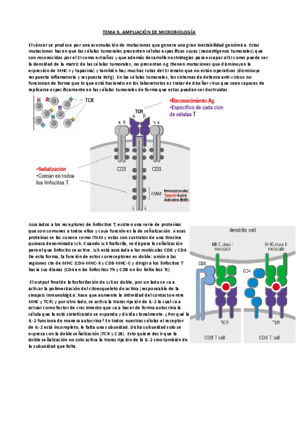 Miniatura del documento Tema-9-Ampli-micro.pdf