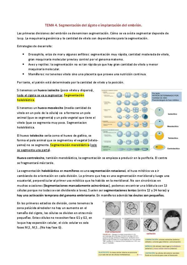 Miniatura del documento TEMA-4.pdf