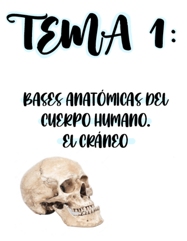 Miniatura del documento Tema-1-Bases-anatomicas-cuerpo-.pdf