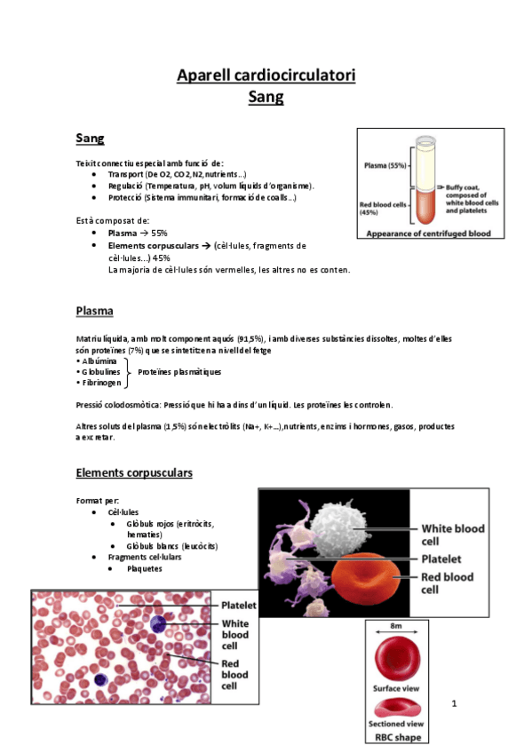 Miniatura del documento 6-Aparell-cardiocirculatori.pdf