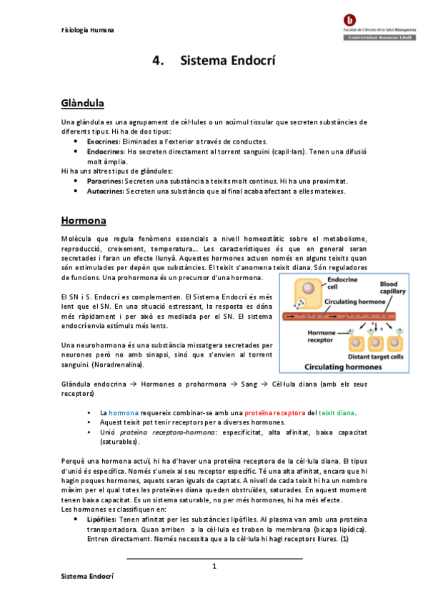 Miniatura del documento 4-SISTEMA-ENDOCRI.pdf