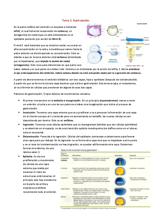 Miniatura del documento Tema-5.pdf