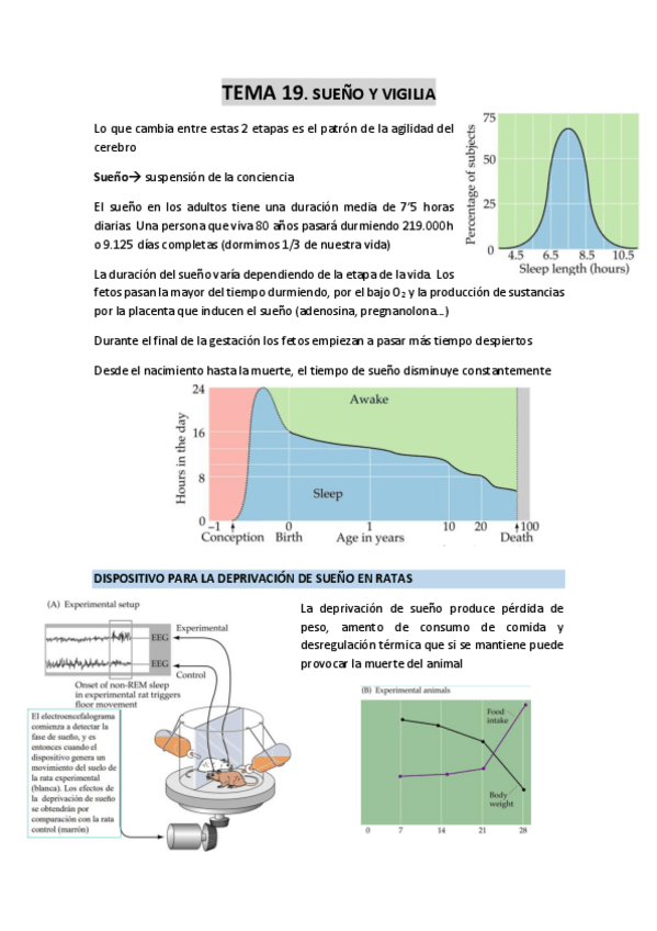 Miniatura del documento TEMA-19-Sueno-y-vigilia.pdf
