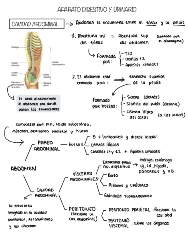 Miniatura del documento Resumen-Tema-8.pdf