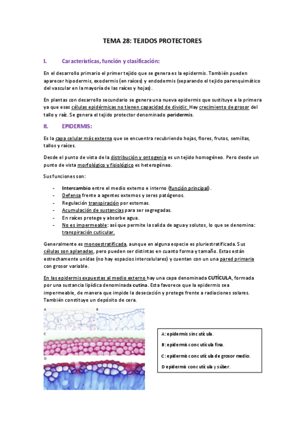 Miniatura del documento TEMA-28.pdf