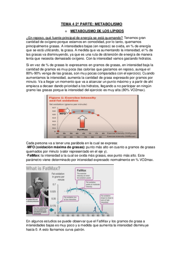 Miniatura del documento Tema-4-2o-parte-Fisiologia-del-Ejercicio.pdf