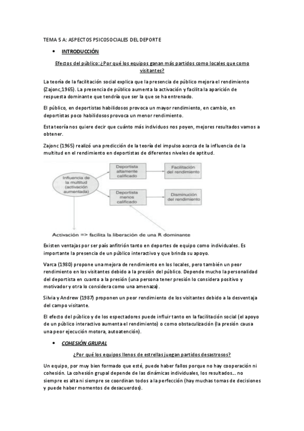 Miniatura del documento Tema-5-Psicologia-del-Deporte-Nerea-Cadenas.pdf