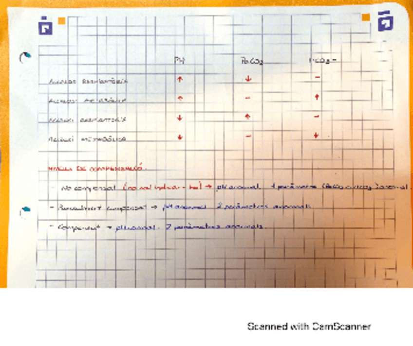 Miniatura del documento Fisiopatologia-Gasometries.pdf