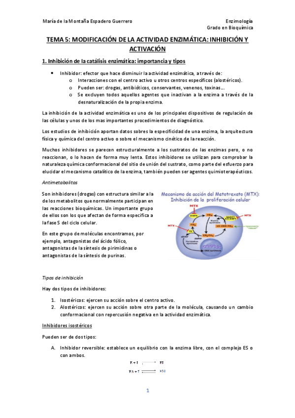 Miniatura del documento Tema-5-enzimo-Monti.pdf