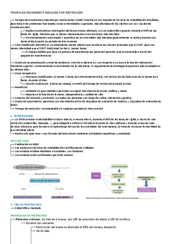 Miniatura del documento TMIR.pdf