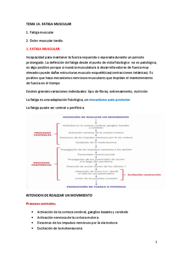 Miniatura del documento TEMA-14.pdf