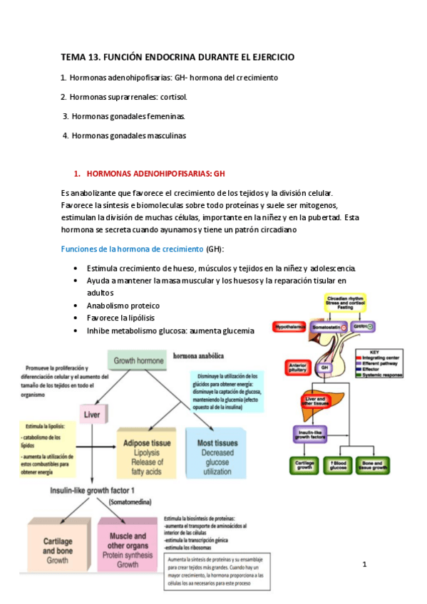 Miniatura del documento TEMA-13.pdf