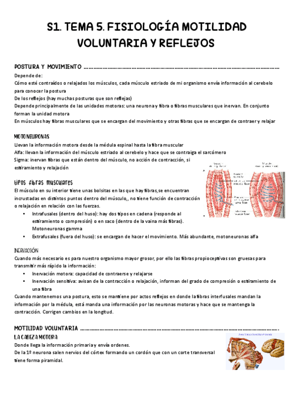 Miniatura del documento S1.pdf
