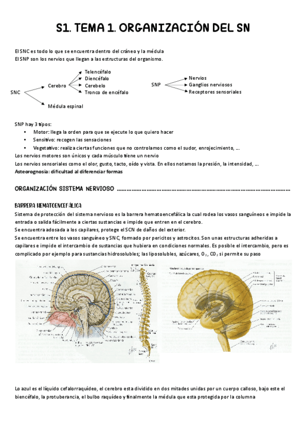 Miniatura del documento S1.pdf