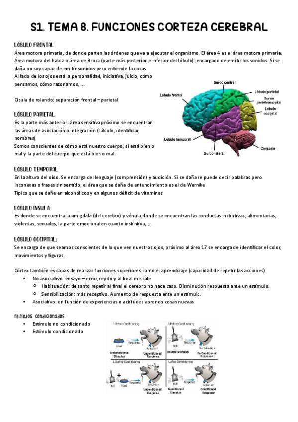 Miniatura del documento S1.pdf