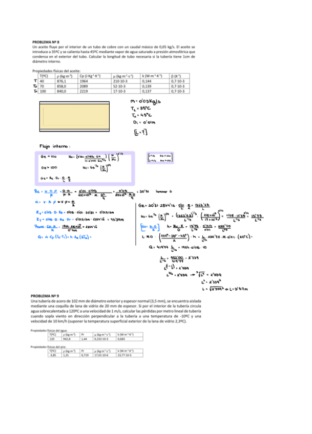 Miniatura del documento Ejercicios. Convección 