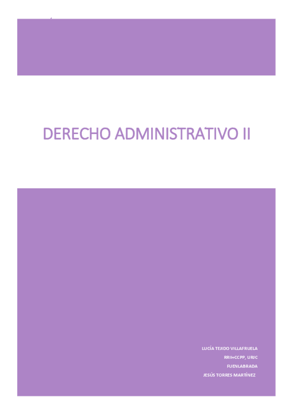 Miniatura del documento APUNTES-ADMINISTRATIVO-II.pdf