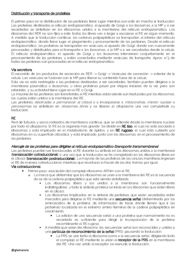 Miniatura del documento Distribucion-y-transporte-de-proteinas-glomarulo.pdf