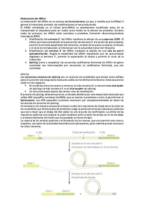 Miniatura del documento Regulacion-exp.pdf