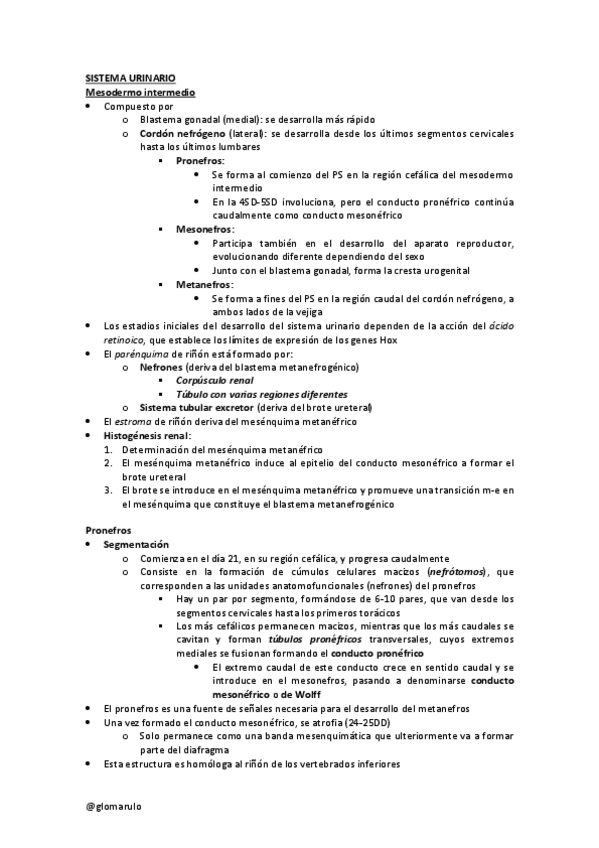 Miniatura del documento TP9-EMBRIOglomarulo.pdf
