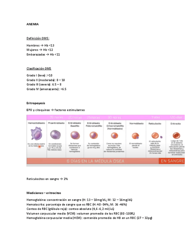 Miniatura del documento ANEMIA.pdf