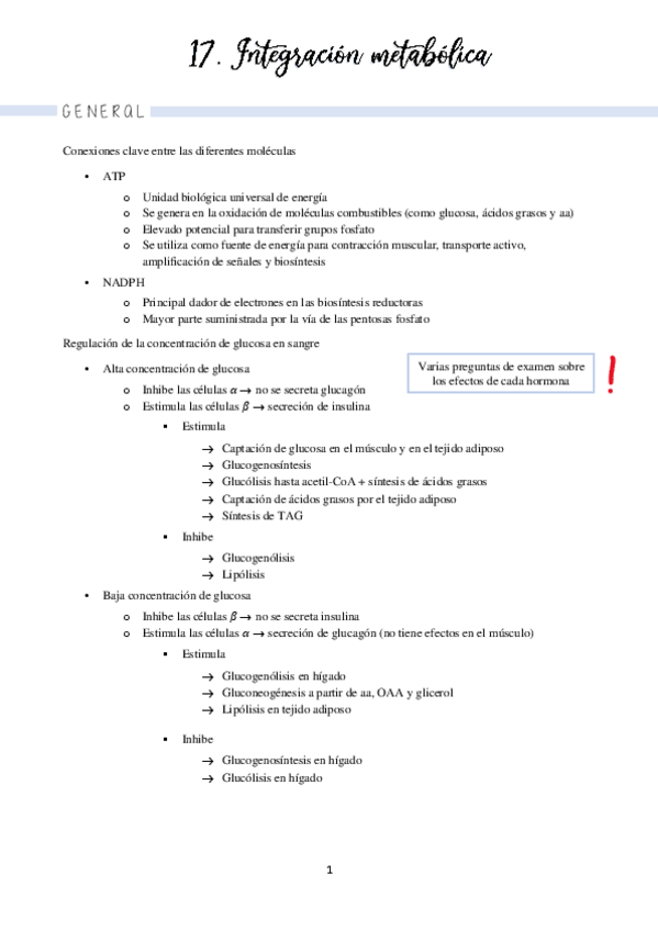 Miniatura del documento Tema 17 integración metabólica