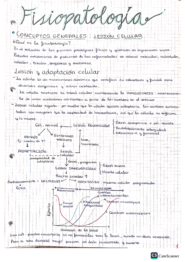 Miniatura del documento Fisio.pdf