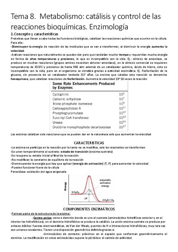 Miniatura del documento Tema-8-Enzimas.pdf