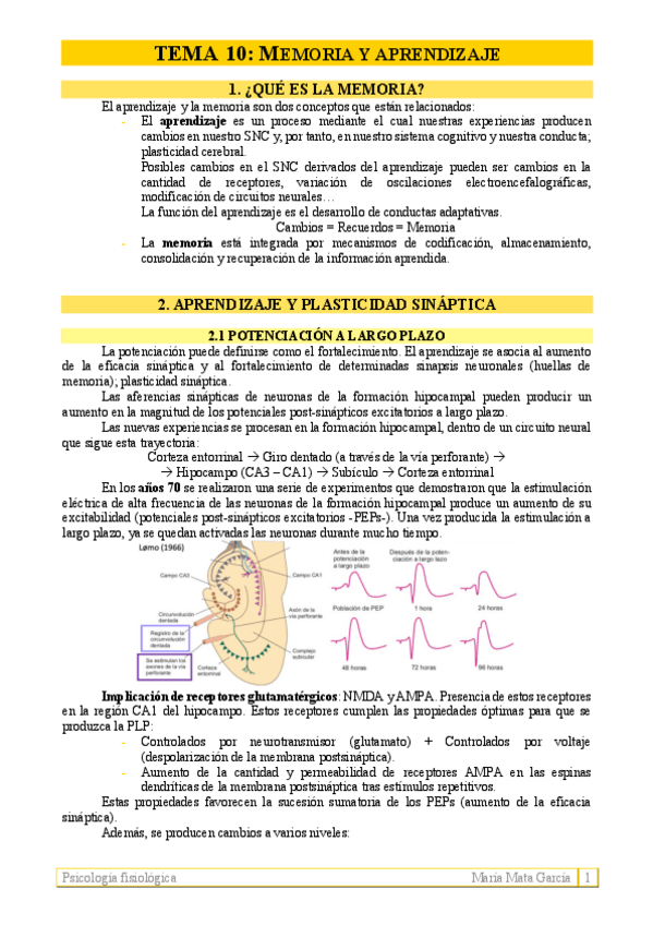 Miniatura del documento TEMA-10.pdf