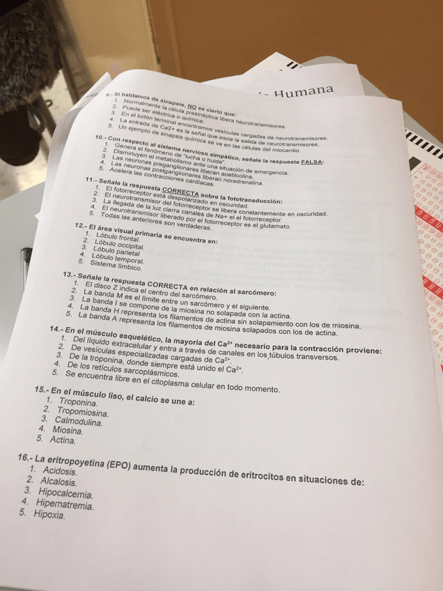 Miniatura del documento wuolah-free-IMG8407.jpg