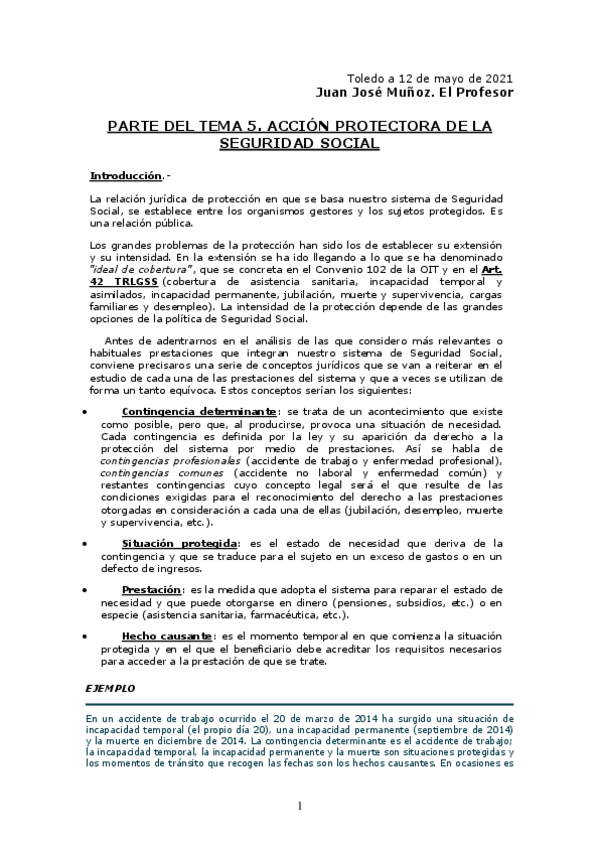 Miniatura del documento ACCION-PROTECTORA-SEGURIDAD-SOCIAL-2021-para-los-alumnos-1.pdf