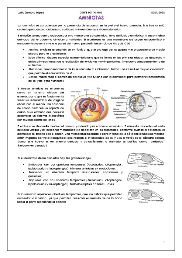 Miniatura del documento Amniotas-y-Reptiles.pdf