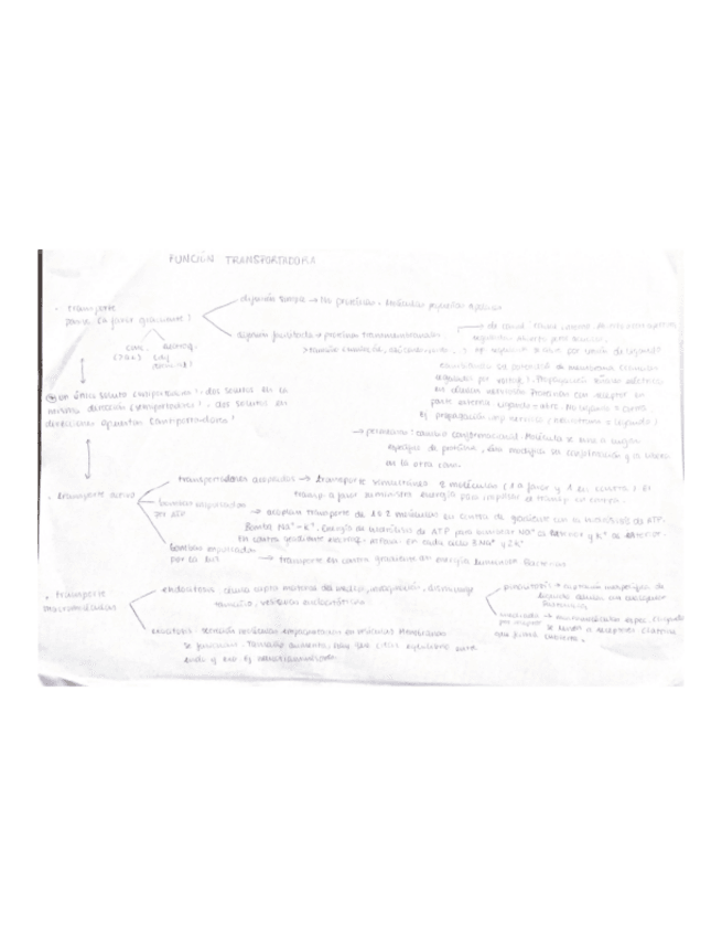 Miniatura del documento Scanned-Documents-2.pdf