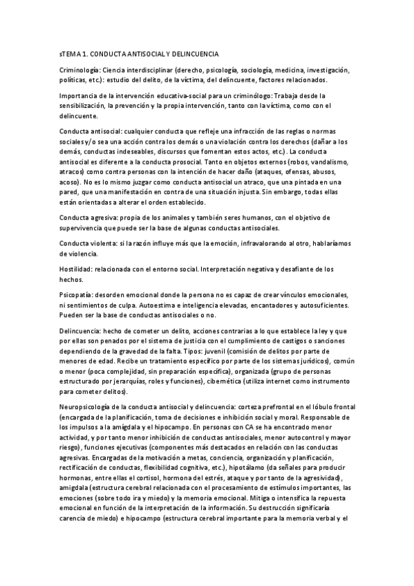 Miniatura del documento RESUMEN-CHICA-Y-CHICO.pdf